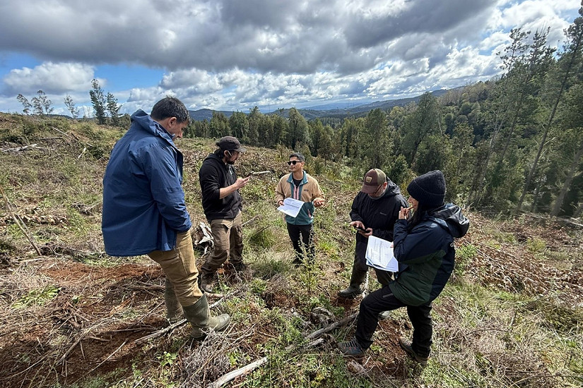 Innovadora metodología de monitoreo con miras a fortalecer acciones de restauración de bosque a nivel nacional