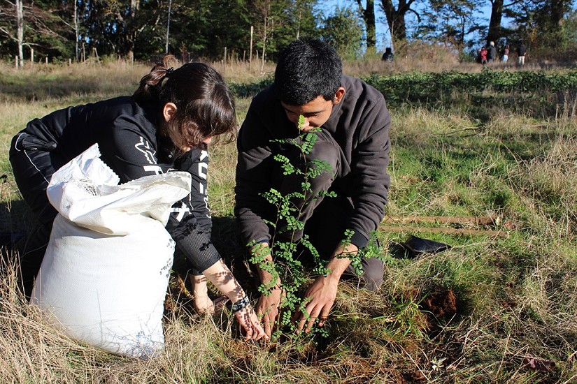 Realizaron jornada de plantación en bosque comestible de la UACh