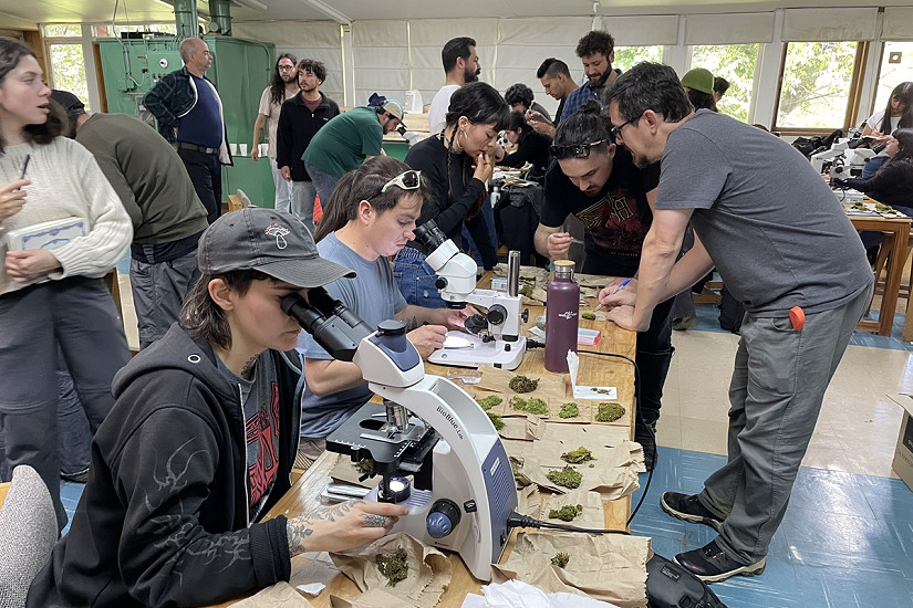 Curso de briófitas atrajo a profesionales y estudiantes interesados en este valioso ecosistema