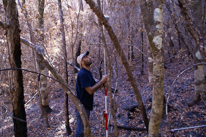 Facultad de Ciencias Forestales y Recursos Naturales participó en el GIS Day 2025