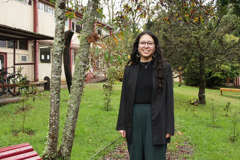 Estudiante de magíster investigó cómo impactan los bordes de caminos la presencia de fauna del sotobosque